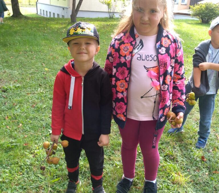 JESIENNE SPACERY JEŻYKÓW